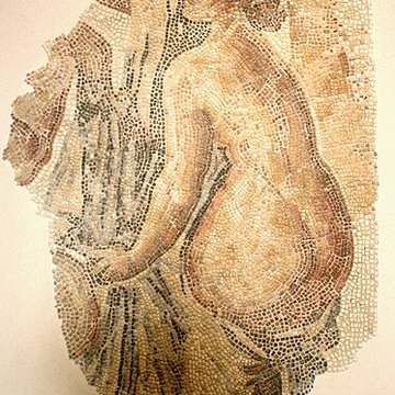 Musée des docks romains de Marseille