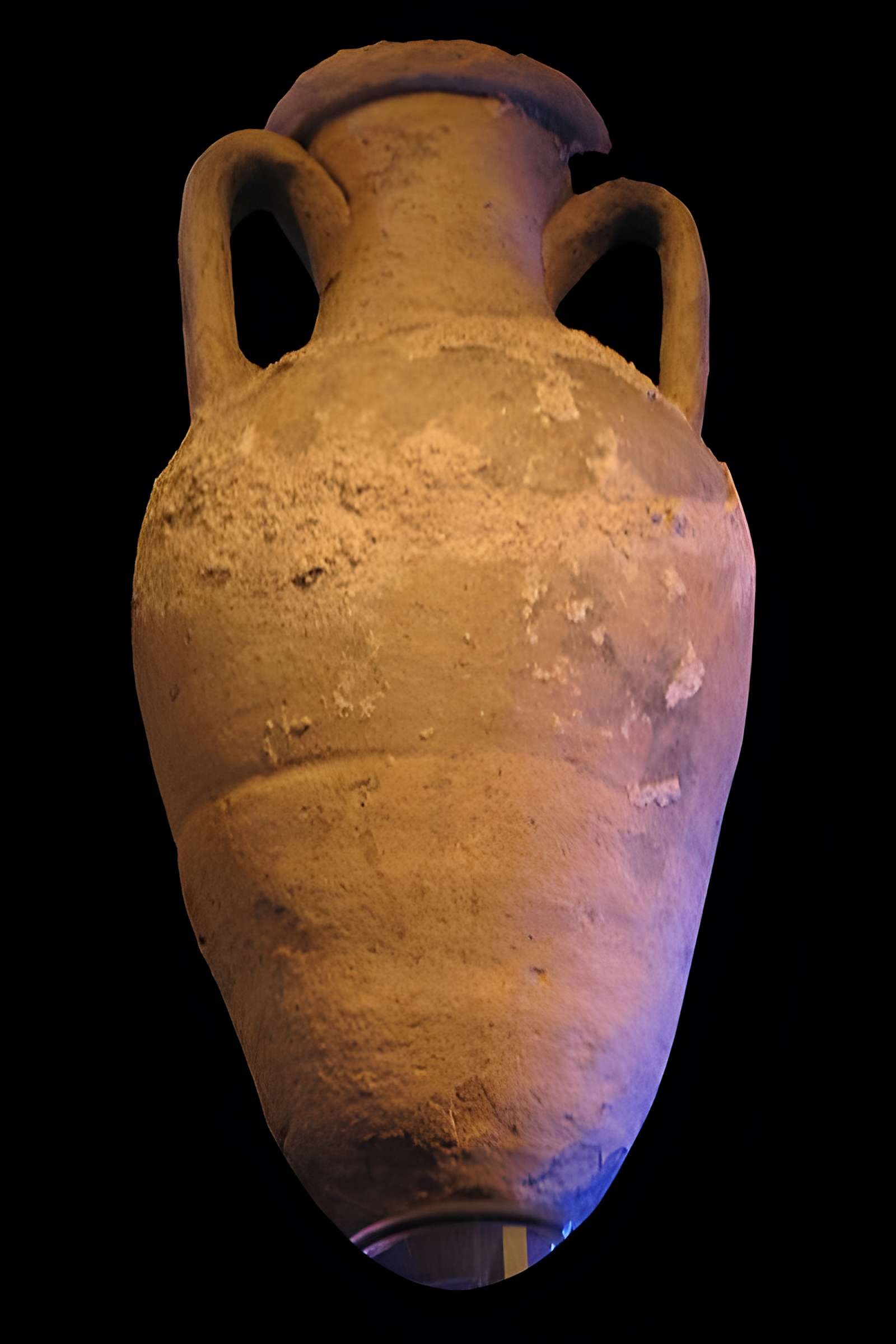 Musée des docks romains de Marseille