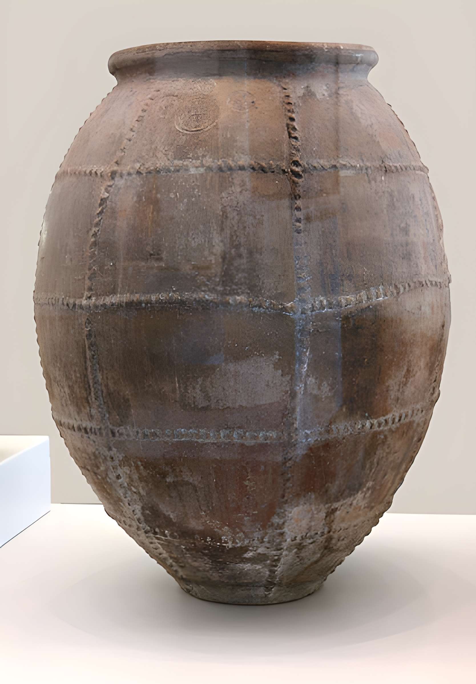 Musée d'histoire de Marseille