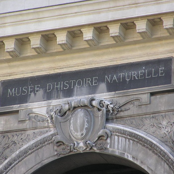 Photo de Muséum dhistoire naturelle de Marseille