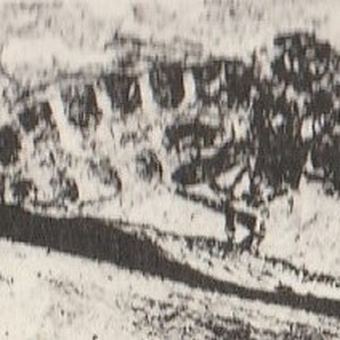 Photo de Muséum dhistoire naturelle de Marseille