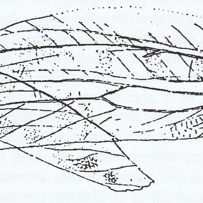 Photo de Muséum dhistoire naturelle de Marseille