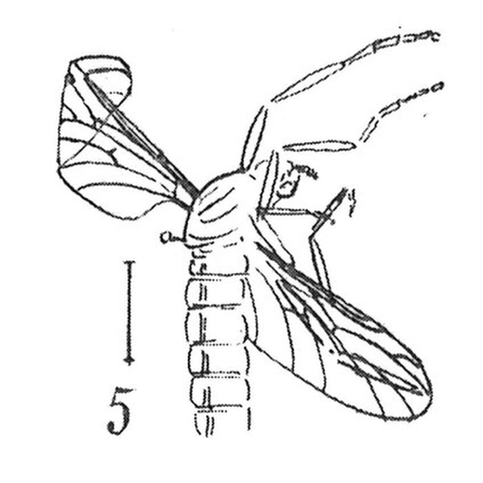 Photo de Muséum dhistoire naturelle de Marseille
