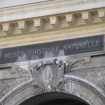 museum d histoire naturelle de marseille