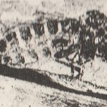 Muséum dhistoire naturelle de Marseille