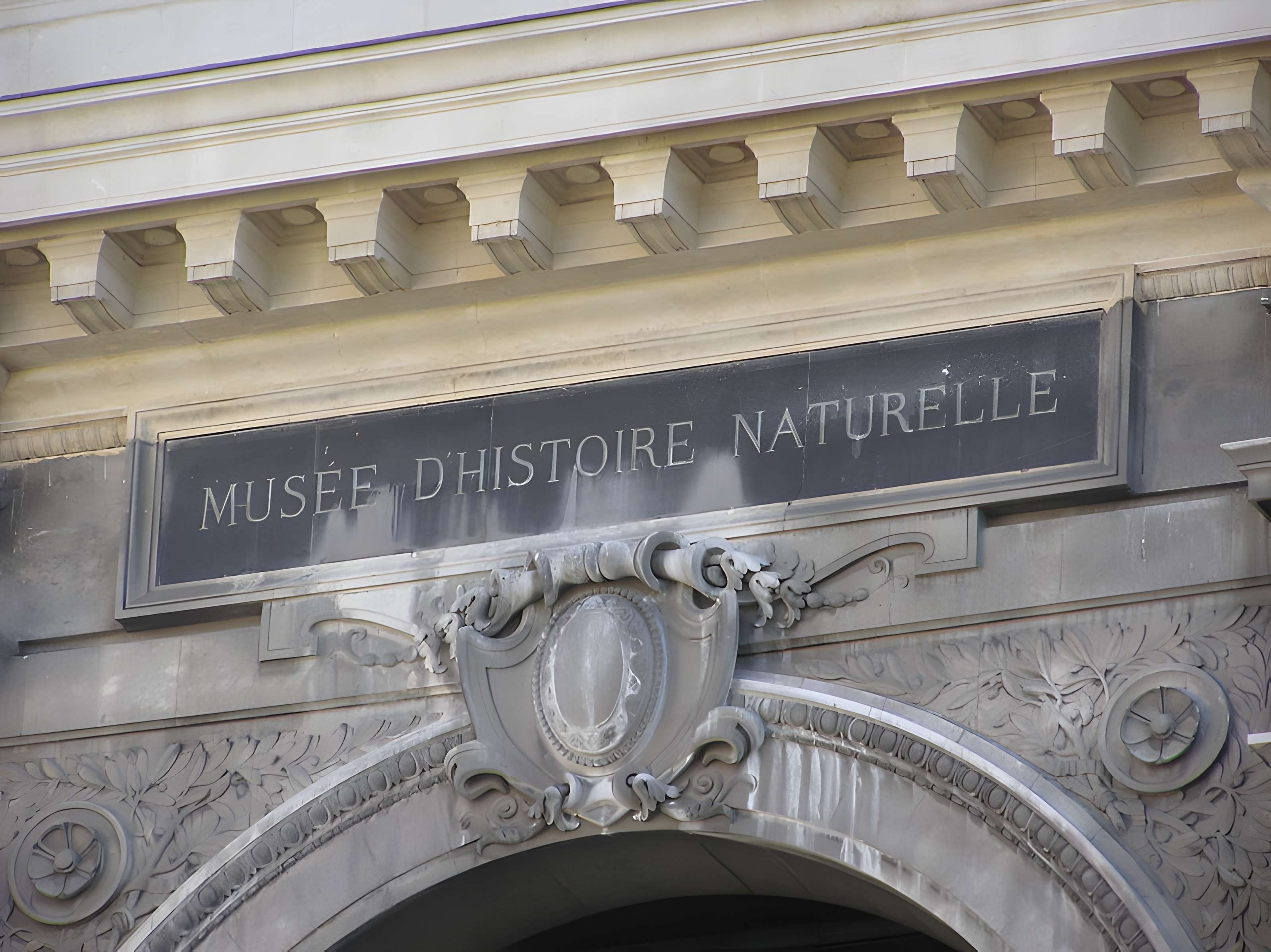 Muséum d'histoire naturelle de Marseille