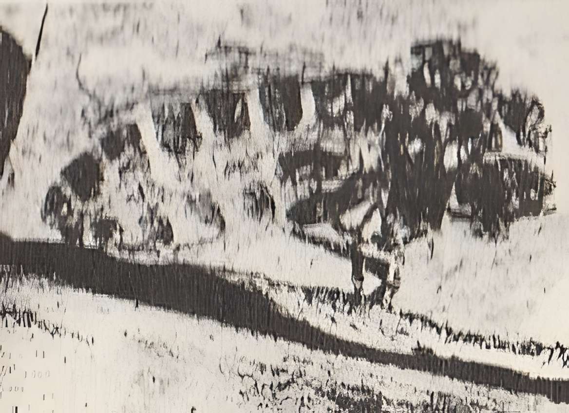 Muséum d'histoire naturelle de Marseille