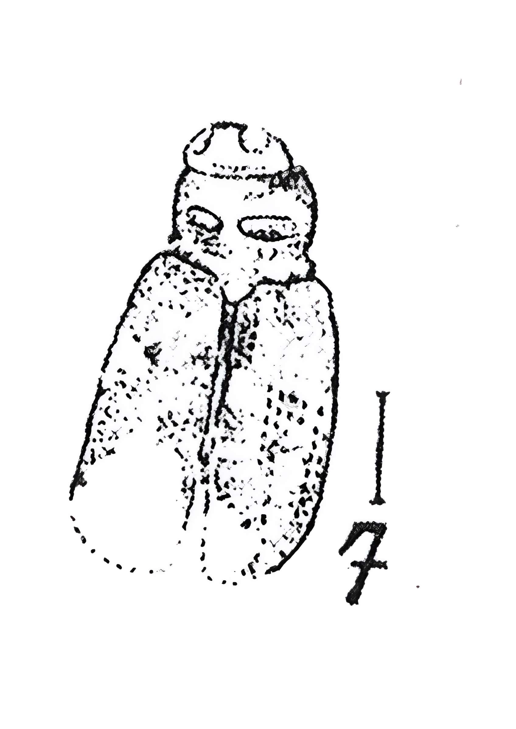 Muséum d'histoire naturelle de Marseille