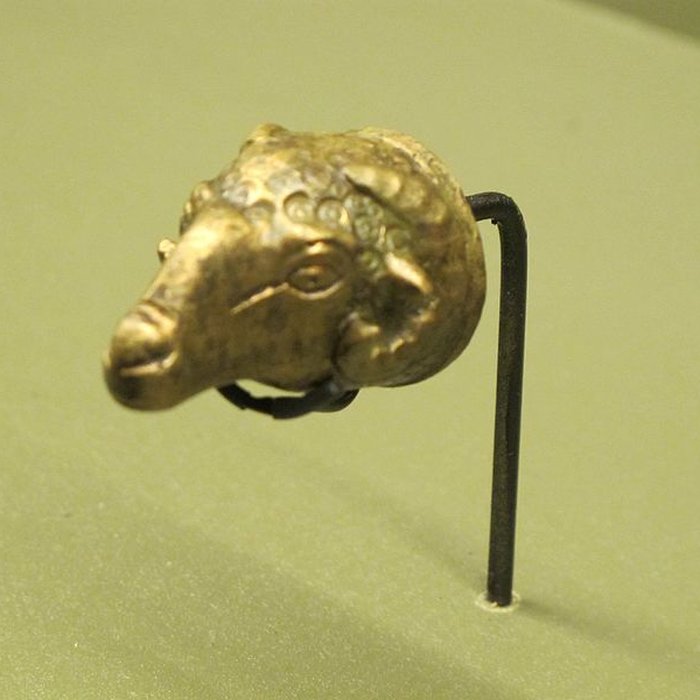 Photo de Musée de lArles antique