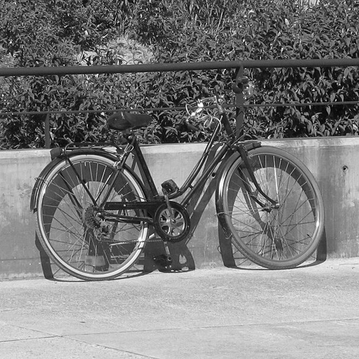 Photo de Musée de lArles antique