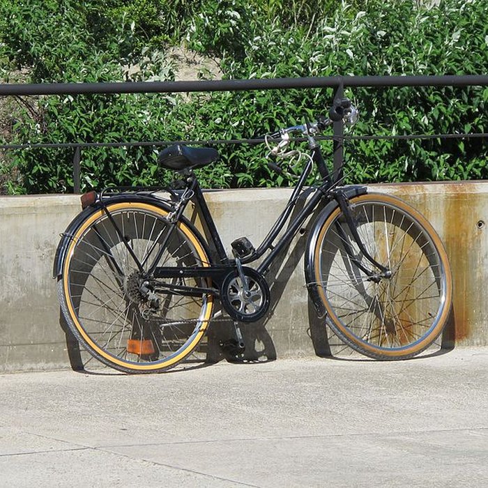 Photo de Musée de lArles antique