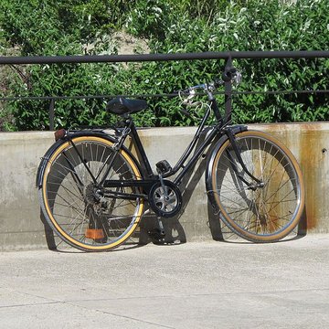 Musée de lArles antique