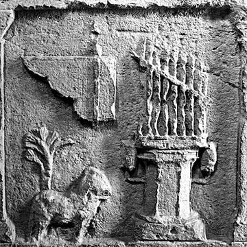 Musée de lArles antique