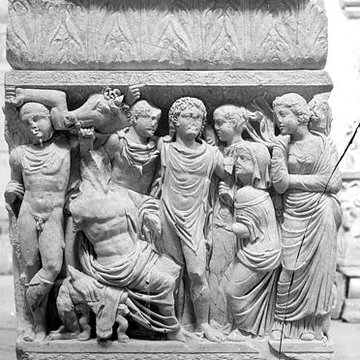 Musée de lArles antique