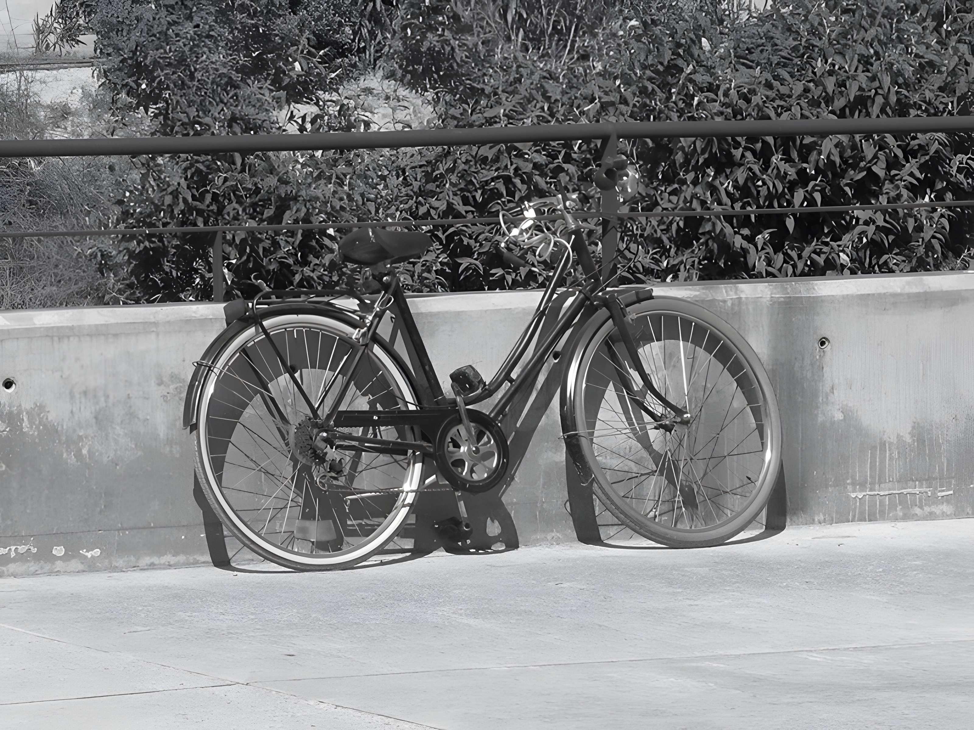 Musée de l'Arles antique