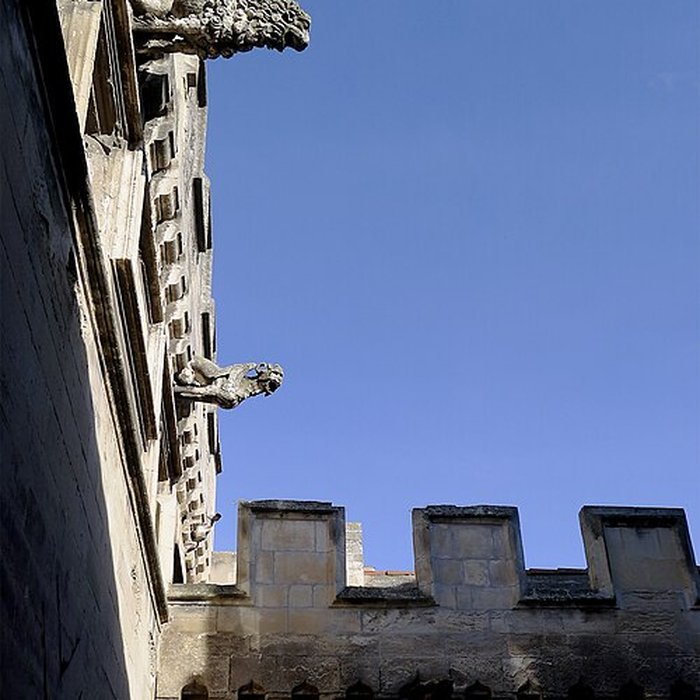 Photo de Musée des beaux-arts dArles Musée Réattu