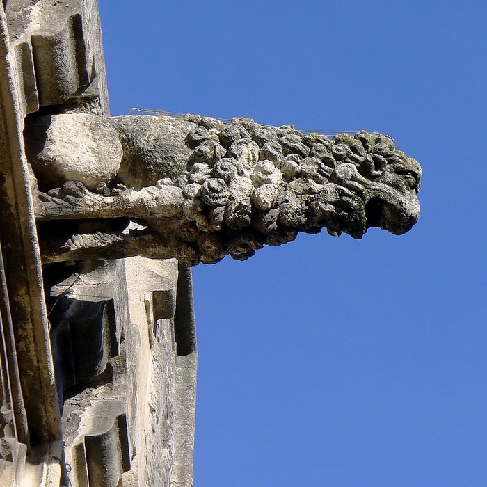 Photo de Musée des beaux-arts dArles Musée Réattu