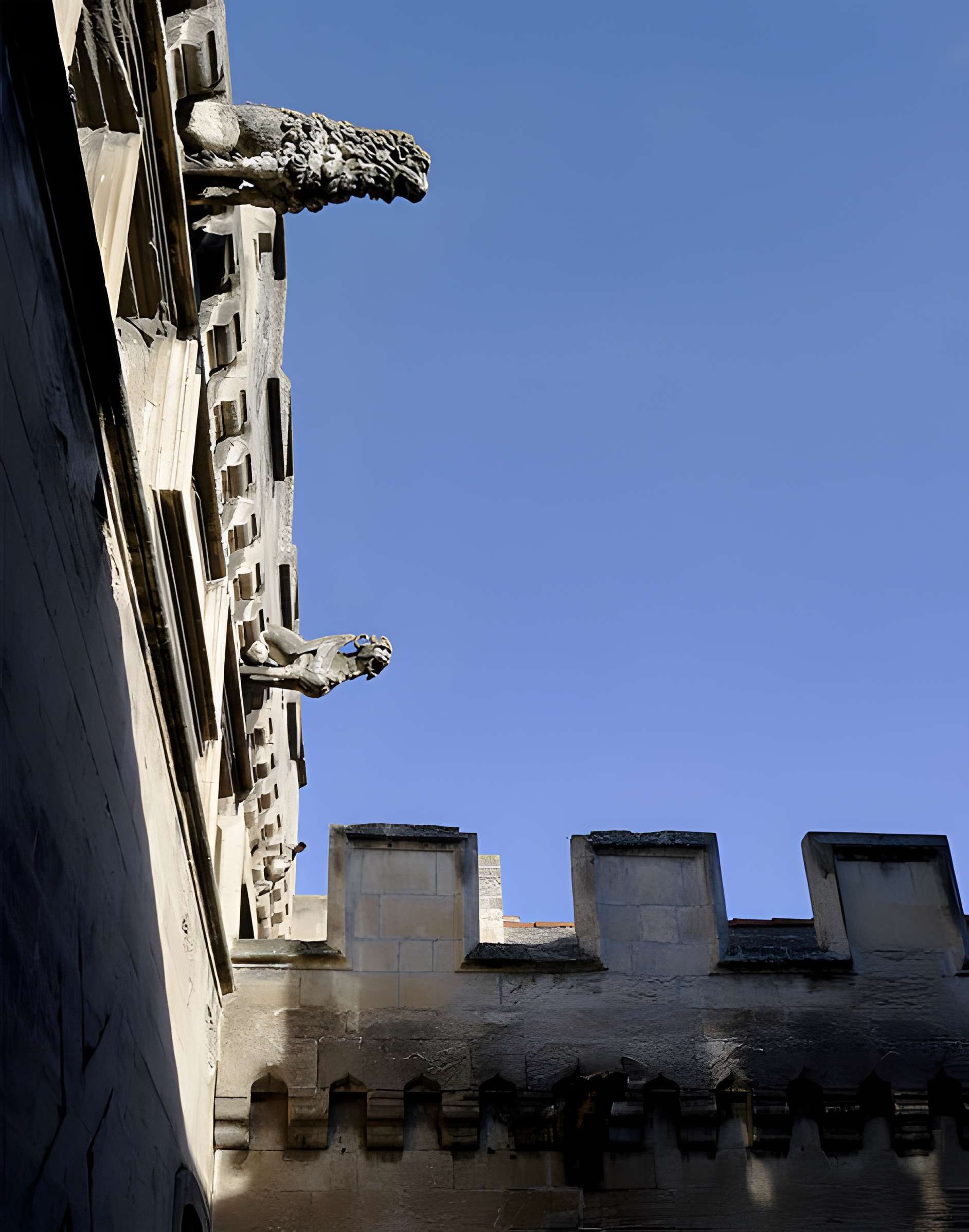 Musée des beaux-arts d'Arles (Musée Réattu)