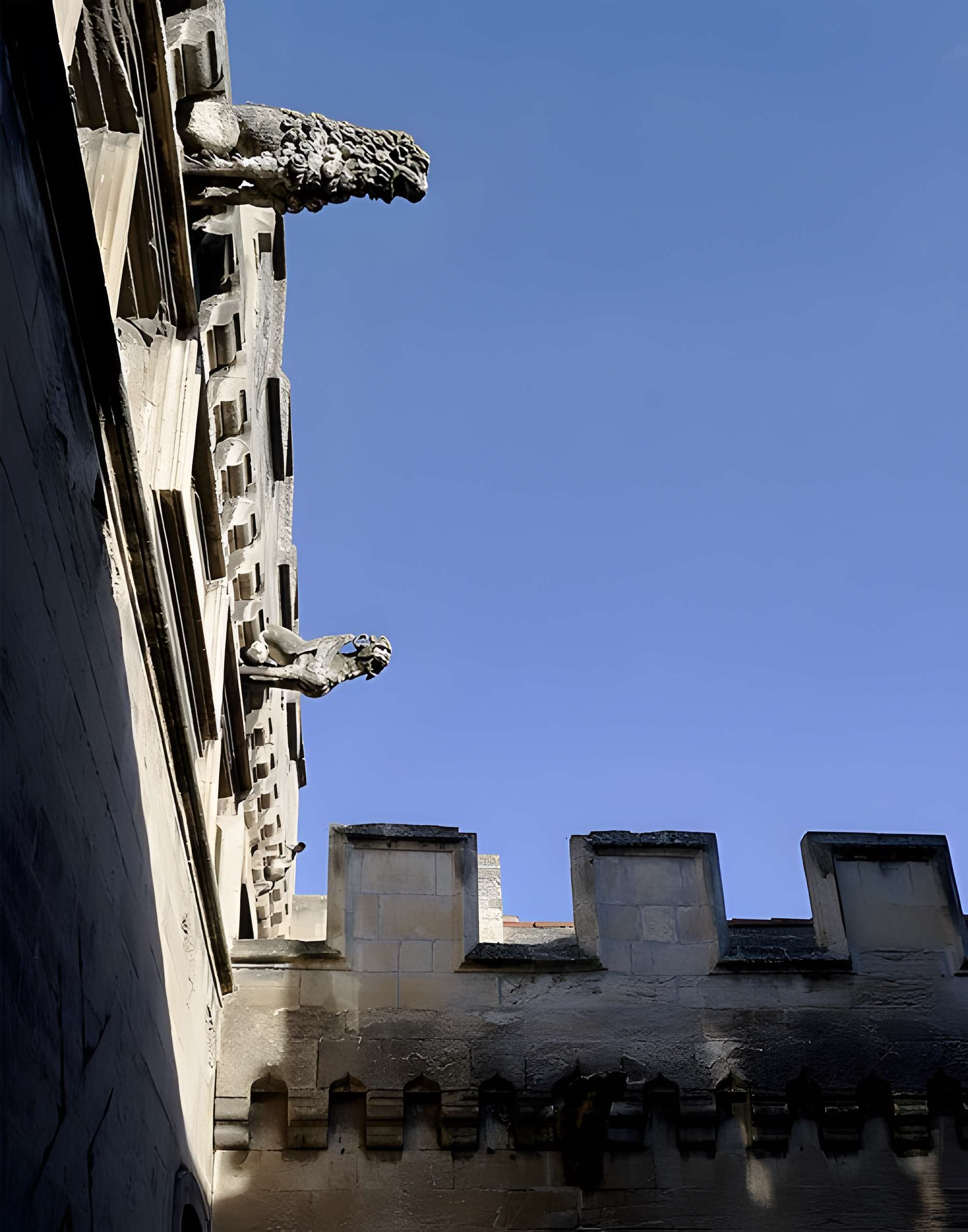 Musée des beaux-arts d'Arles (Musée Réattu)