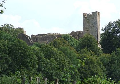 Photo de Château de Thil