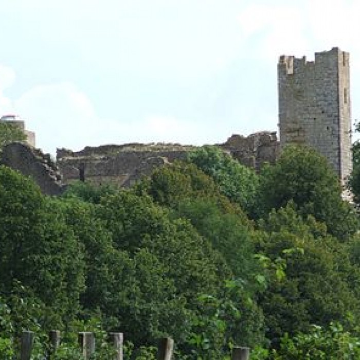 Photo de Château de Thil