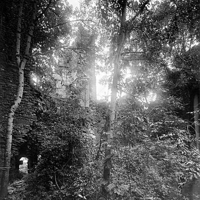 Photo de Château de Thil