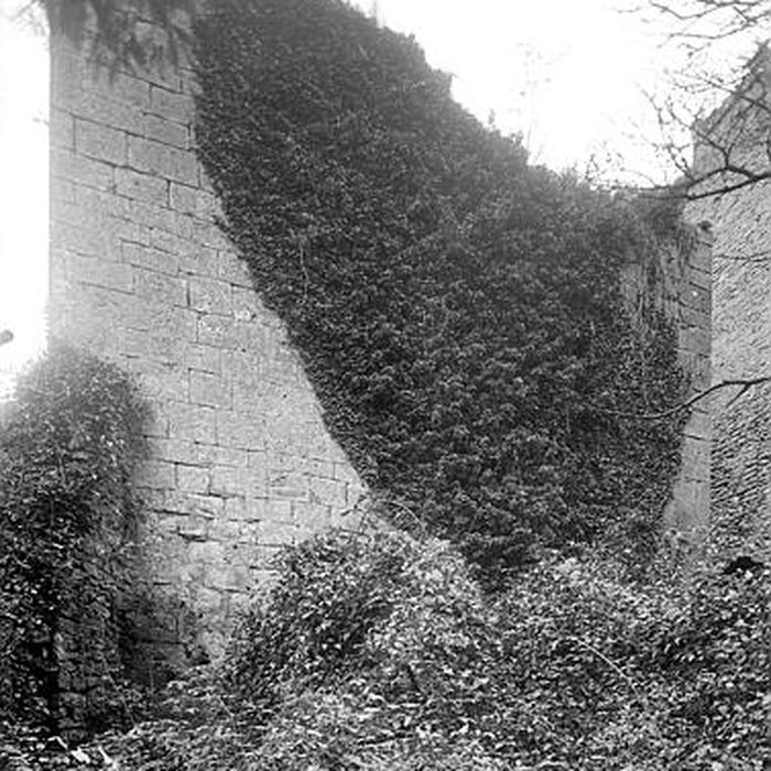 Photo de Château de Thil