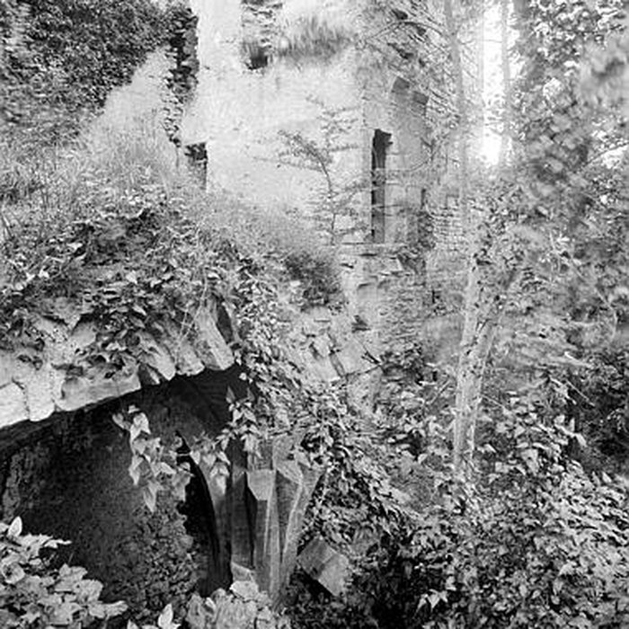 Photo de Château de Thil