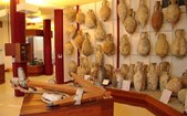 Photo de Musée archéologique René Beaucaire à Istres