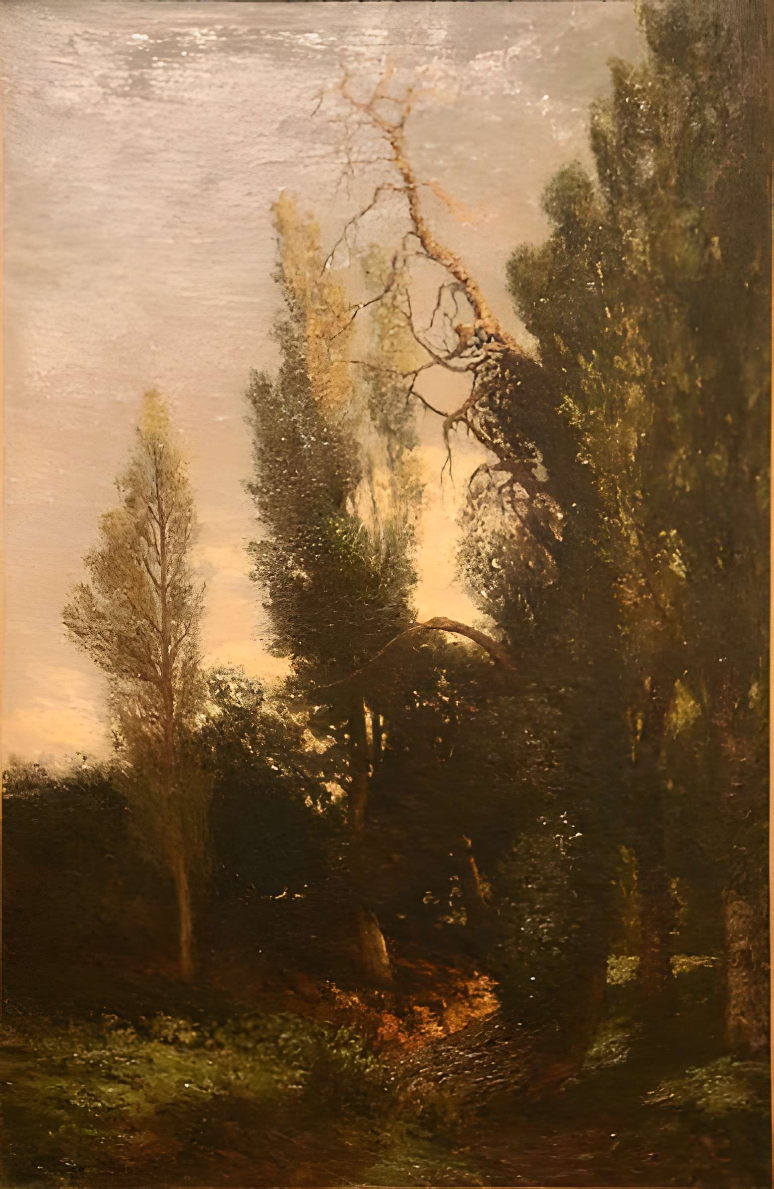 Musée Ziem à Martigues