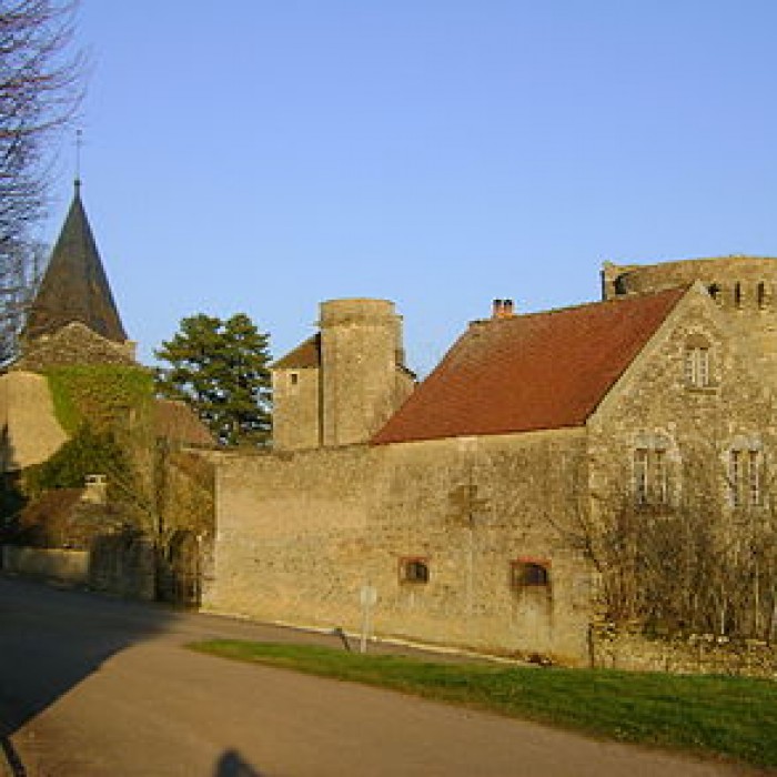 Photo de Château de Thizy