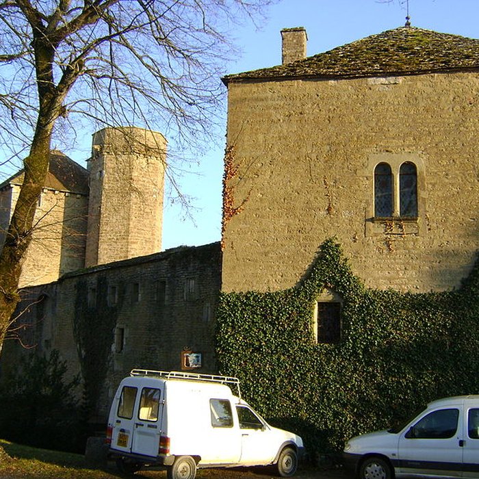 Photo de Château de Thizy