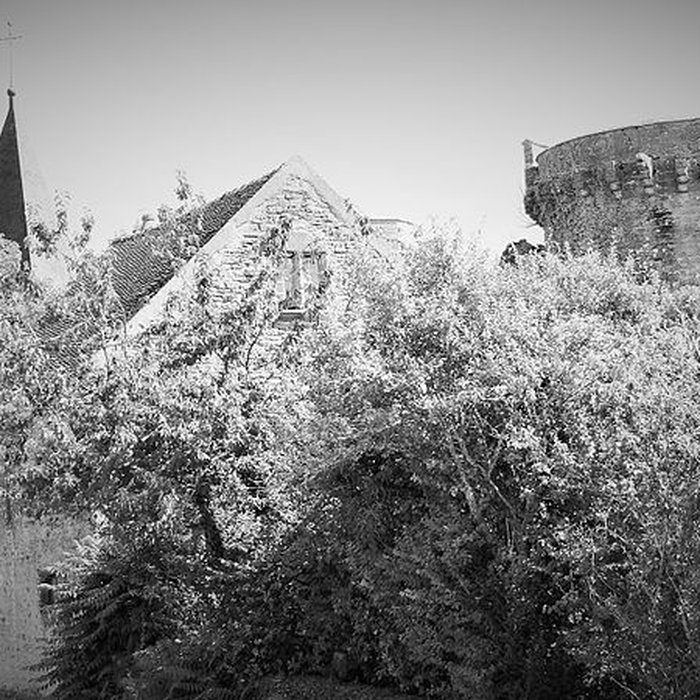 Photo de Château de Thizy