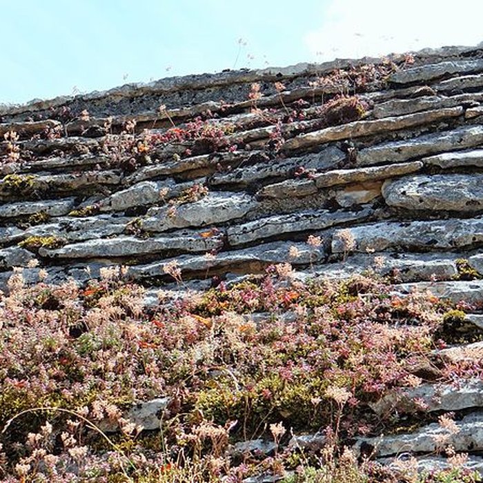 Photo de Château de Thizy