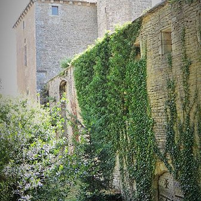Photo de Château de Thizy