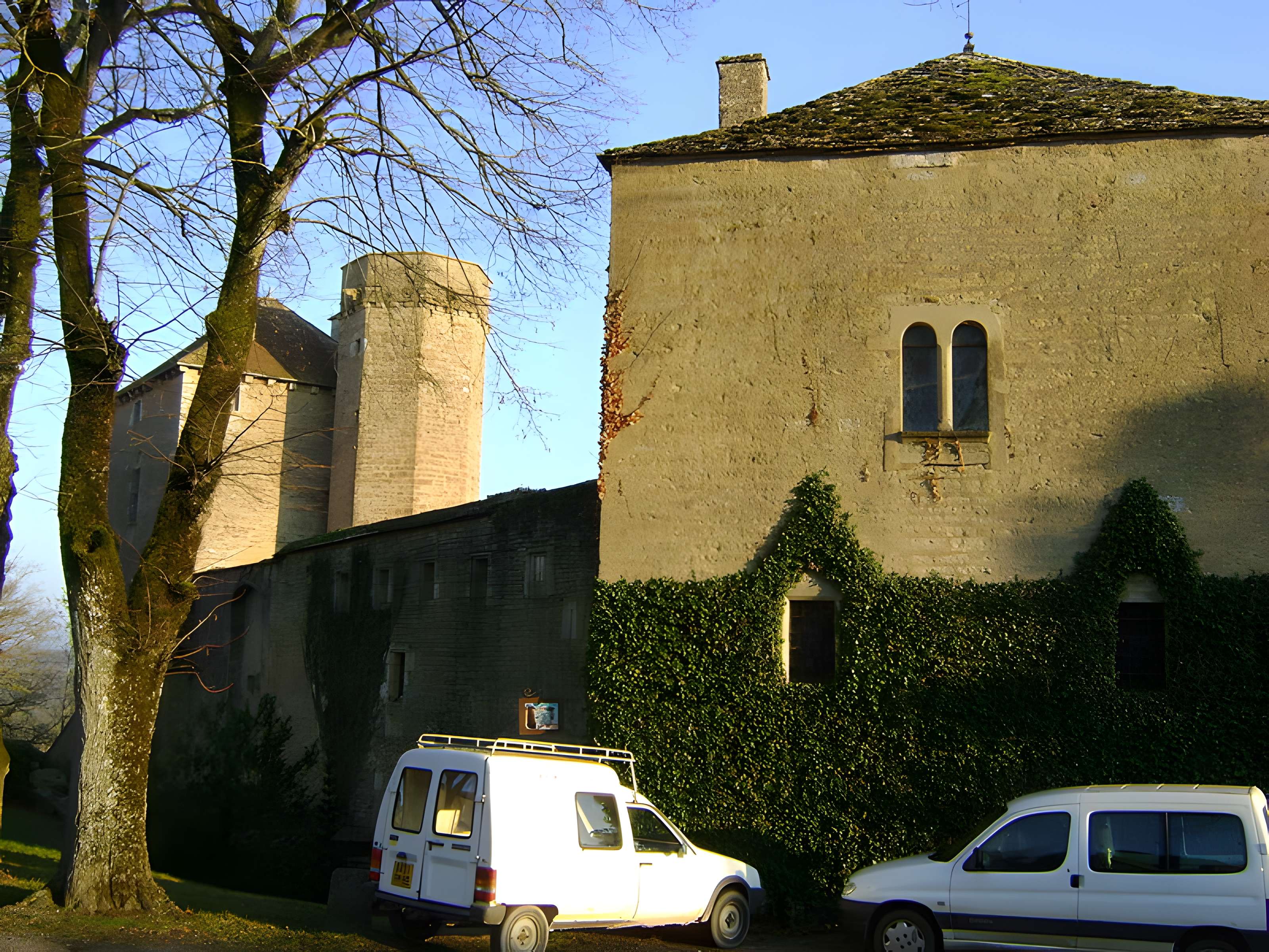Château de Thizy