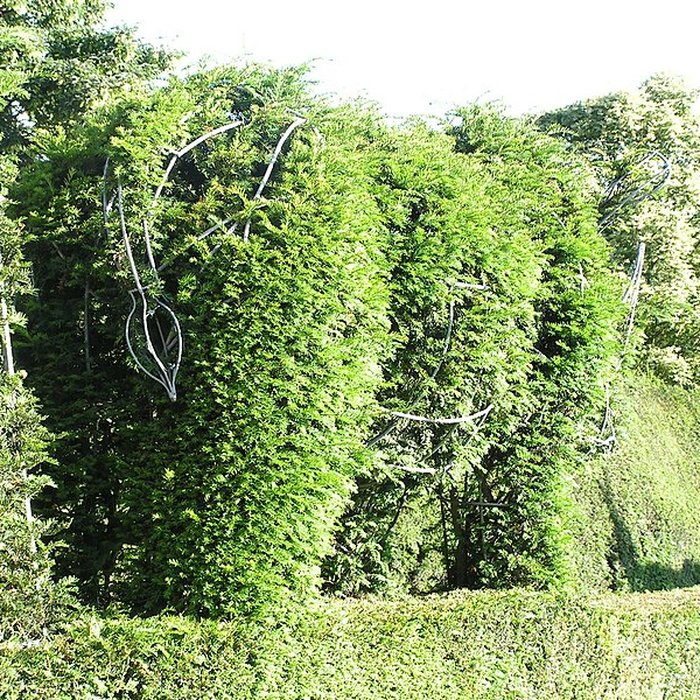 Photo de Château de Thoiry