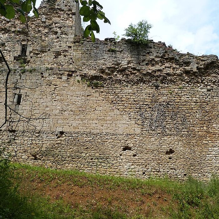 Photo de Château de Thol