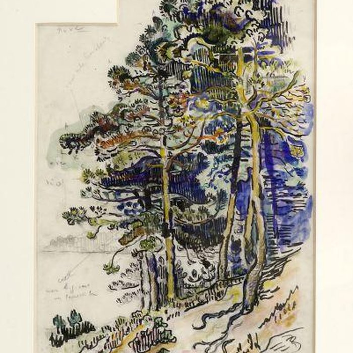 Photo de Musée de lAnnonciade de Saint-Tropez