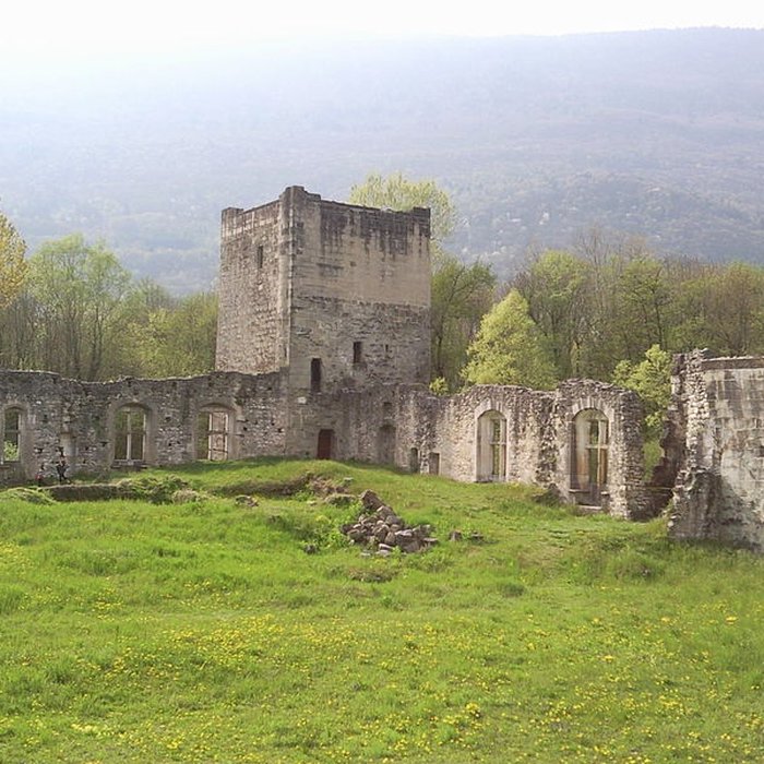 Photo de Château de Thomas de Savoie ruines