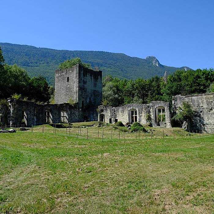 Photo de Château de Thomas de Savoie ruines