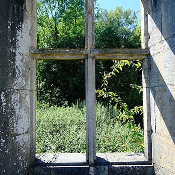 Photo de Château de Thomas de Savoie ruines