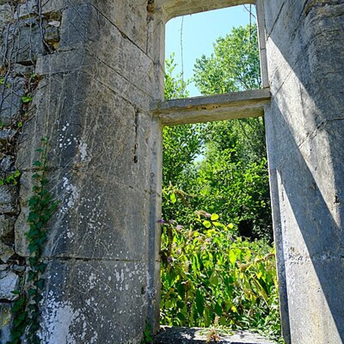 Photo de Château de Thomas de Savoie ruines