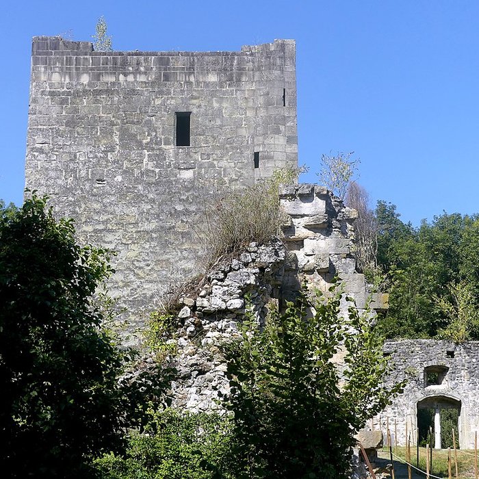 Photo de Château de Thomas de Savoie ruines