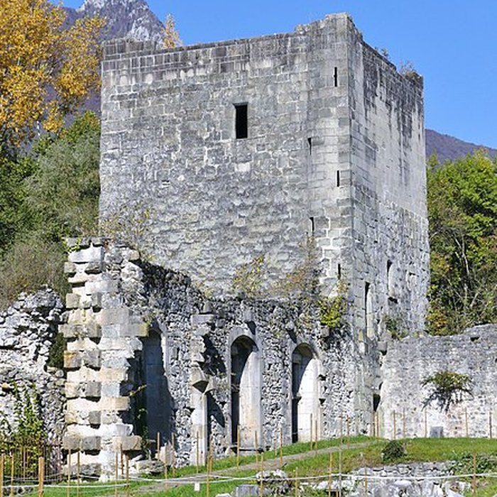 Photo de Château de Thomas de Savoie ruines