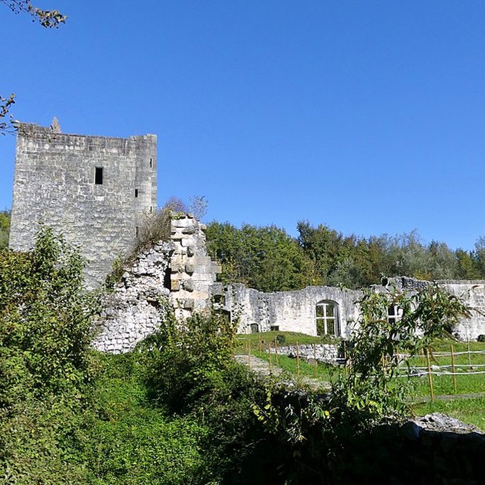 Photo de Château de Thomas de Savoie ruines