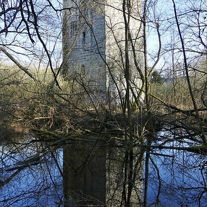 Photo de Château de Thomas de Savoie ruines