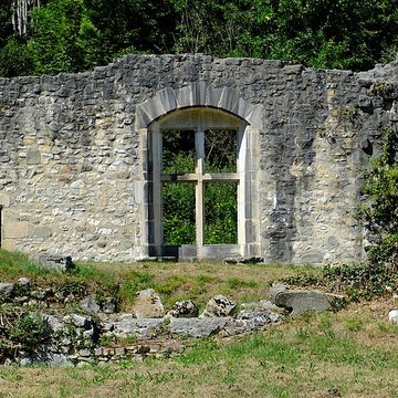 Château de Thomas de Savoie ruines