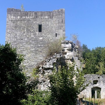 Château de Thomas de Savoie ruines