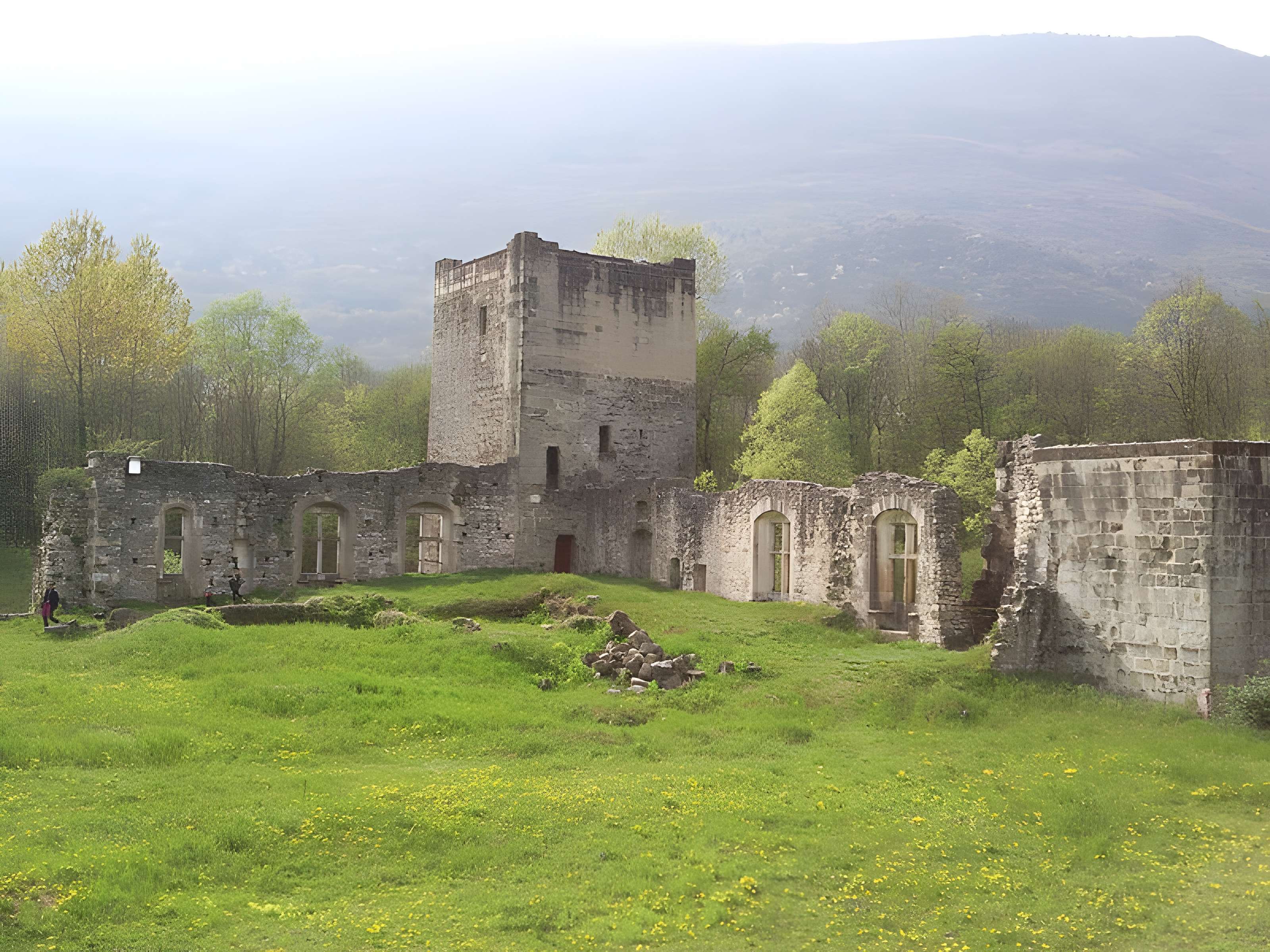 Château de Thomas de Savoie (ruines)